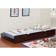 Furniture of America Barnes Transitional Wood Twin XL Trundle in Espresso