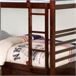Furniture of America Tomi Wood Twin over Twin Storage Bunk Bed in Dark Walnut