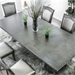 Furniture of America Alstroemeria Wood 9-Piece Extendable Dining Set in Gray
