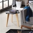 Furniture of America Bok Modern Chic Metal Tray-Top End Table in Black