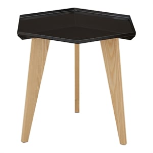 Furniture of America Bok Modern Chic Metal Tray-Top End Table in Black