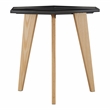 Furniture of America Bok Modern Chic Metal Tray-Top End Table in Black