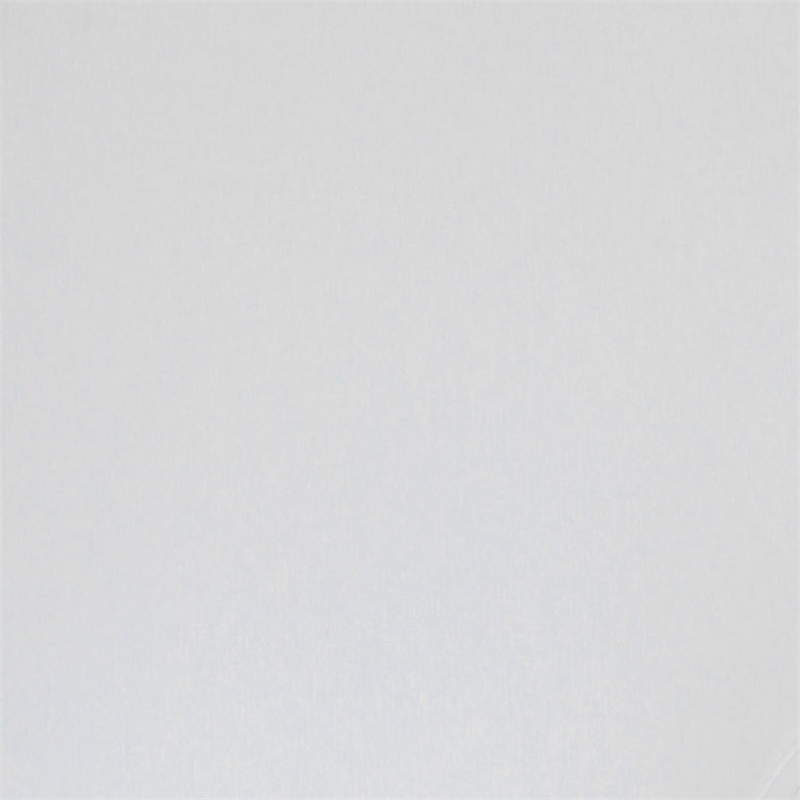 Furniture of America Trinket Industrial Metal Cal King Panel Bed in White