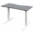 Furniture of America Seantay Metal Adjustable Short Desk with USB in Gray