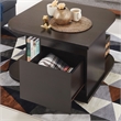 Furniture of America Adona Modern Wood Storage Coffee Table in Cappuccino