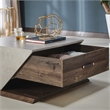 Furniture of America Menster Modern Wood Storage Coffee Table in Reclaimed Oak
