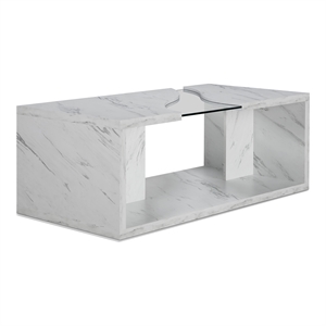 Furniture of America Lenu Contemporary Wood Storage Coffee Table in White