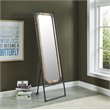 Furniture of America Regalo Metal 51-Inch Standing Mirror in Sand Black