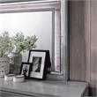 Furniture of America Hariston 2-Piece Wood Dresser and Mirror in Light Gray