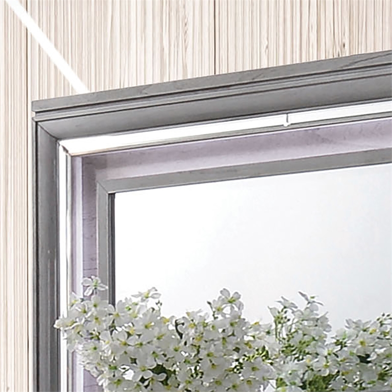 Furniture of America Hariston 2-Piece Wood Dresser and Mirror in Light Gray