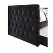 Furniture of America Marlene Contemporary Fabric Daybed with Trundle in Black