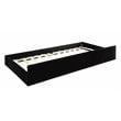 Furniture of America Marlene Contemporary Fabric Daybed with Trundle in Black