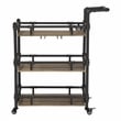Furniture of America Byson Industrial Metal Bar Cart in Sand Black