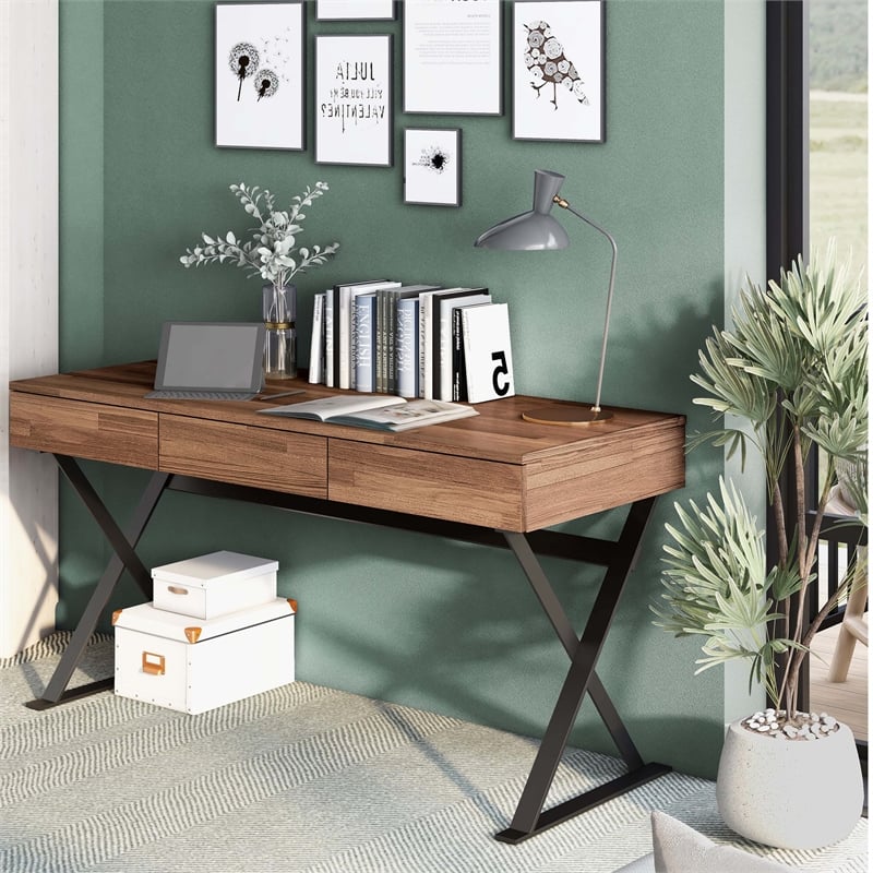 Furniture of America Riley Wood 3-Drawer Writing Desk with USB in Oak and Black