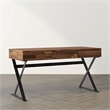 Furniture of America Riley Wood 3-Drawer Writing Desk with USB in Oak and Black