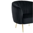 Furniture of America Darque Fabric Upholstered Accent Chair in Black/Gold