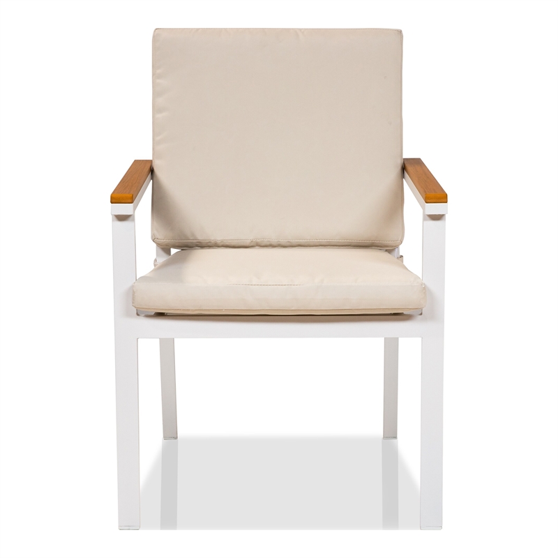 Furniture of America Tinna Aluminum Patio Arm Chair in White and Oak (Set of 2)