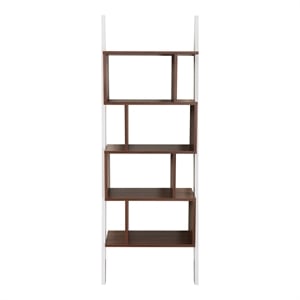 Furniture of America Lili Contemporary Wood 4-Shelf Bookcase in Light Walnut