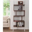 Furniture of America Lili Contemporary Wood 4-Shelf Bookcase in Light Walnut