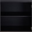 Furniture of America Coloma Wood 2-Drawer Buffet Server in Black and Chrome