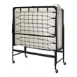 Furniture of America Gouda Black Metal 48-Inch Rollaway Bed Frame with Mattress