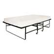 Furniture of America Gouda Black Metal 48-Inch Rollaway Bed Frame with Mattress