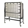 Furniture of America Gouda Black Metal 30-Inch Rollaway Bed Frame with Mattress