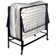 Furniture of America Gouda Black Metal 39-Inch Rollaway Bed Frame with Mattress