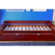 Furniture of America Bateman Wood Daybed with Trundle in Cherry