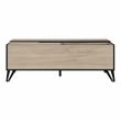 Furniture of America Evermore Modern Wood Storage Coffee Table in Natural Oak