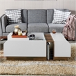 Furniture of America Plano Contemporary Wood Storage Coffee Table in White