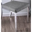 Furniture of America Hartly Metal Padded Dining Chair in Chrome (Set of 2)