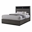 FOA Drummond 3-Piece Gray Wood Panel Bedroom Set - Queen + 2 Nightstands