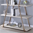 Furniture of America Ketano Metal 4-Shelf Bookcase in Gold Champagne