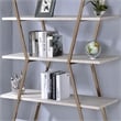 Furniture of America Ketano Metal 4-Shelf Bookcase in Gold Champagne