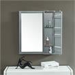 Furniture of America Lionna Contemporary Metal Storage Wall Mirror in Silver