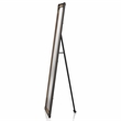Furniture of America Otto Metal Framed Standing Mirror in Sand Black Finish