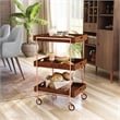 Furniture of America Kliman Industrial Wood 3-Tier Bar Cart in Walnut