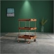 Furniture of America Kliman Industrial Wood 3-Tier Bar Cart in Walnut
