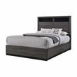 Furniture of America Drummond Wood Queen Storage Panel Bed in Gray