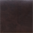 Furniture of America Lillard Faux Leather Upholstered Loveseat in Brown