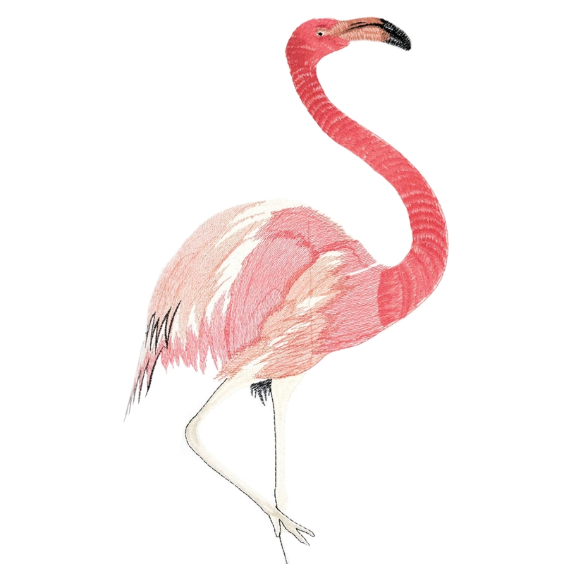 Furniture of America Daytona Fabric 20-Inch Throw Pillow in Pink (Set of 2)