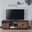 Furniture of America Evo Contemporary Wood 2-Drawer TV Stand in Brown Wenge
