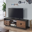 Furniture of America Evo Contemporary Wood 2-Drawer TV Stand in Brown Wenge