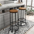 Furniture of America Cera Metal Bar Stool in Warm Oak (Set of 2)