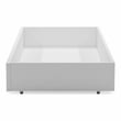 Furniture of America Poppy Transitional Solid Wood Trundle in White