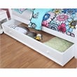 Furniture of America Poppy Transitional Solid Wood Trundle in White