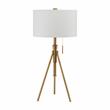 Furniture of America Coria Contemporary Metal 16