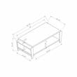 Furniture of America Allium Wood Coffee Table with Magazine Rack in Cappuccino