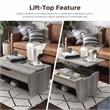 Furniture of America Edwards Wood Lift-Top Coffee Table in Vintage Gray
